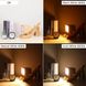 Настольный светильник ( лампа ) деревянная собачка 001 фото 14